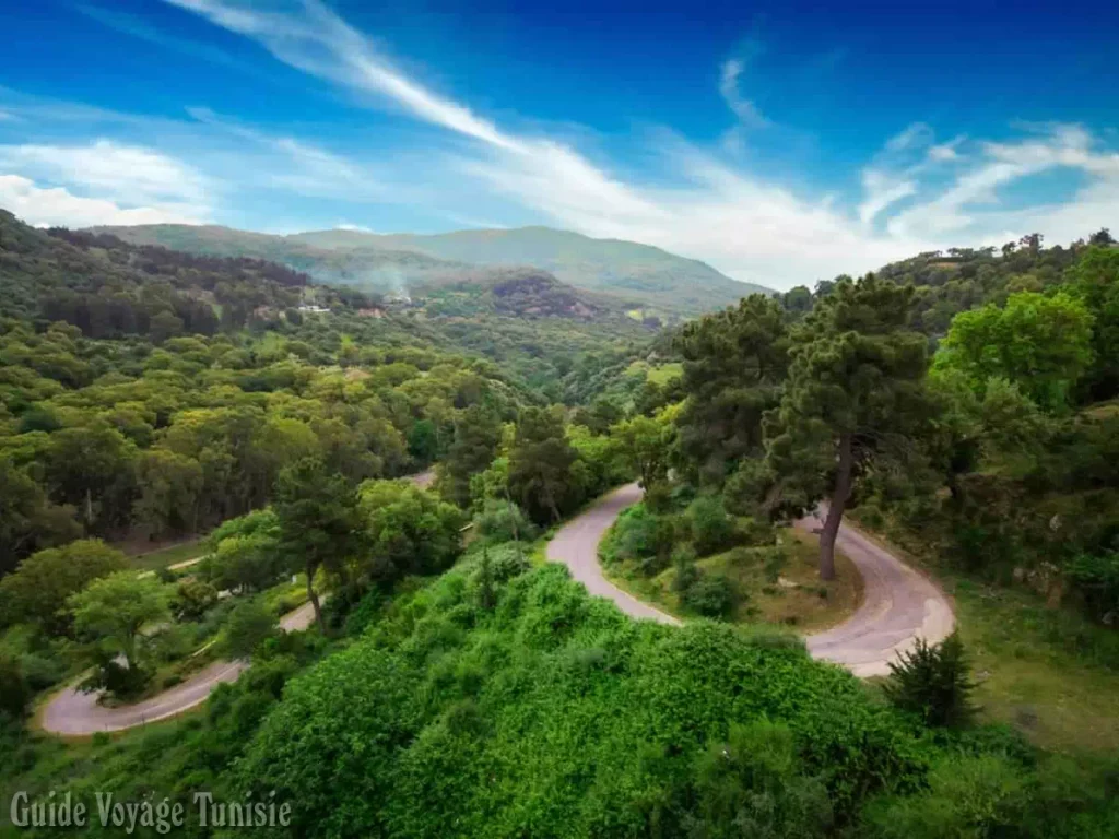 La ville de Ain Draham