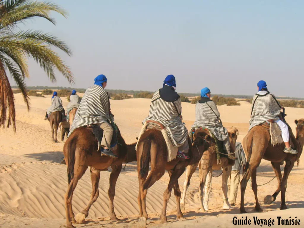 balade à dos de dromadaire à Douz