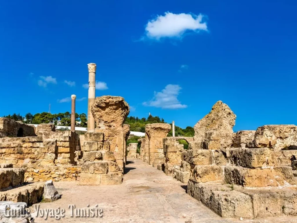 Site archéologique de Carthage