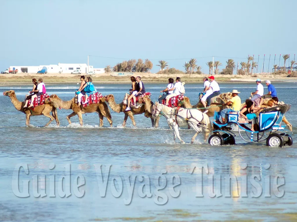 Caravane combinée cheval et dromadaire à Djerba