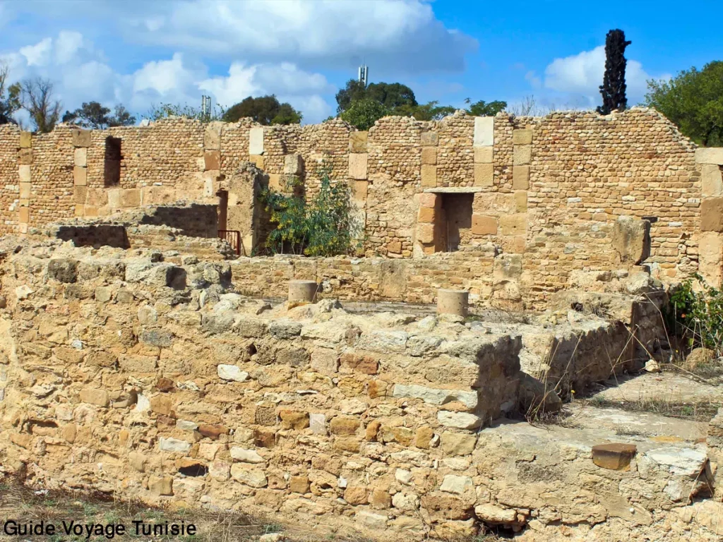 Les villas romaines de Carthage