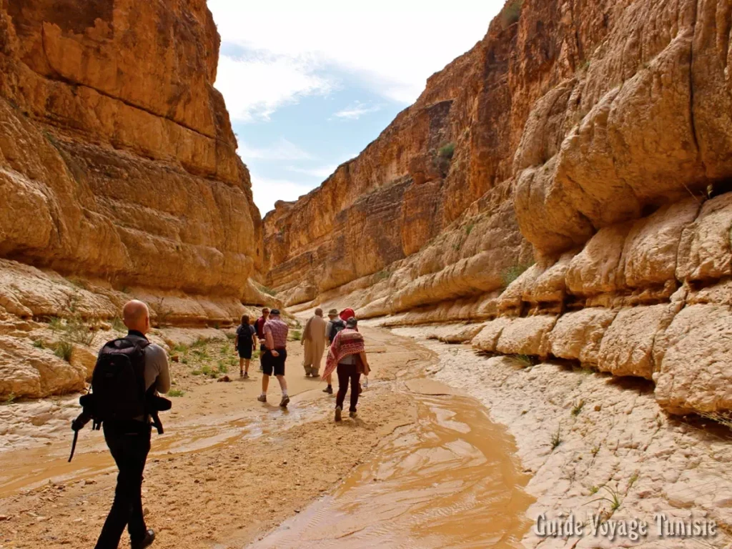 Les Canyons de Midès à Tozeur