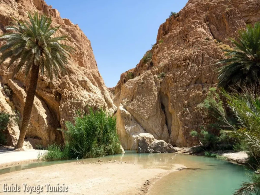 L'oasis de montagne de Chebika