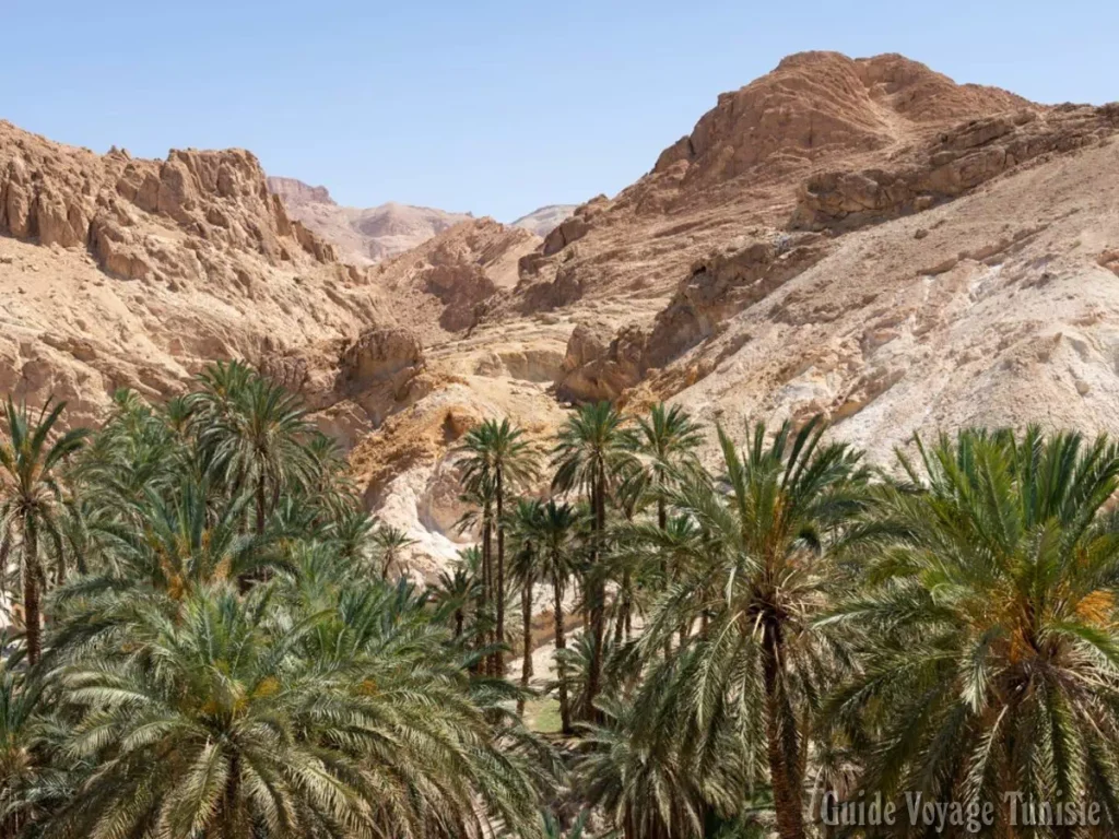 L'oasis de montagne de Chebika