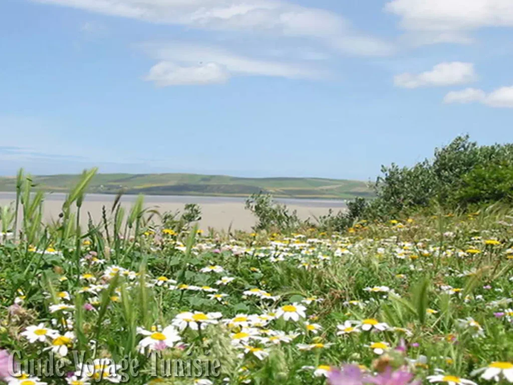 Le Parc National Ichkeul