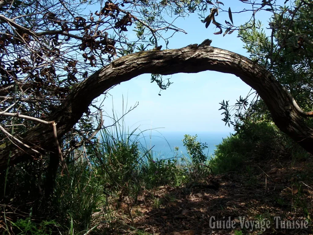 Korbous Cap Bon Tunisie