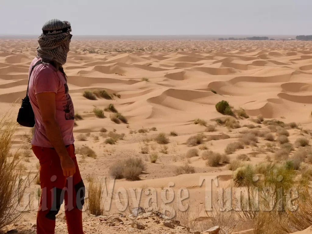 Excursion Une journée à Ksar Ghilane au départ de Djerba et Zarzis