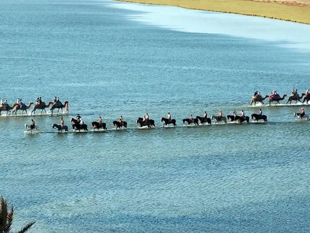 La caravane à Djerba : Partez à cheval et rentrez à dos de dromadaire