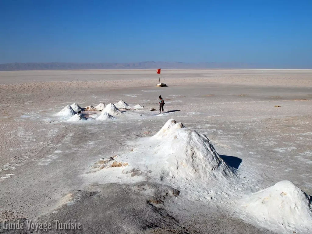 Le lac salé chott djerid Tozeur