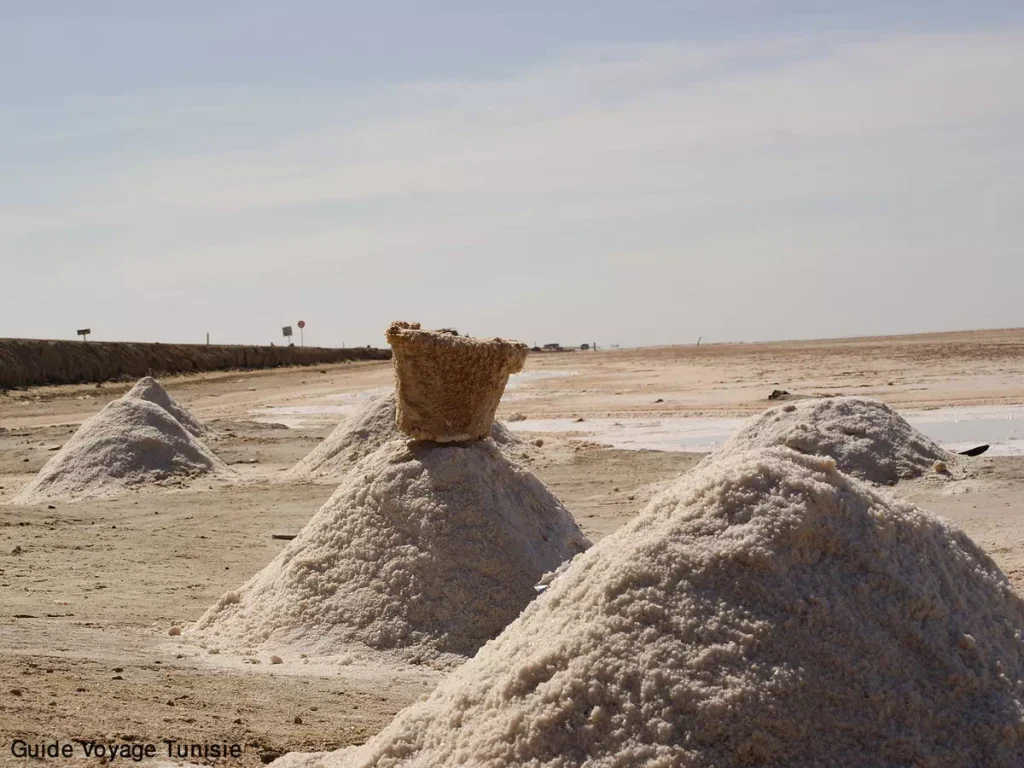 Le lac salé chott djerid Tozeur