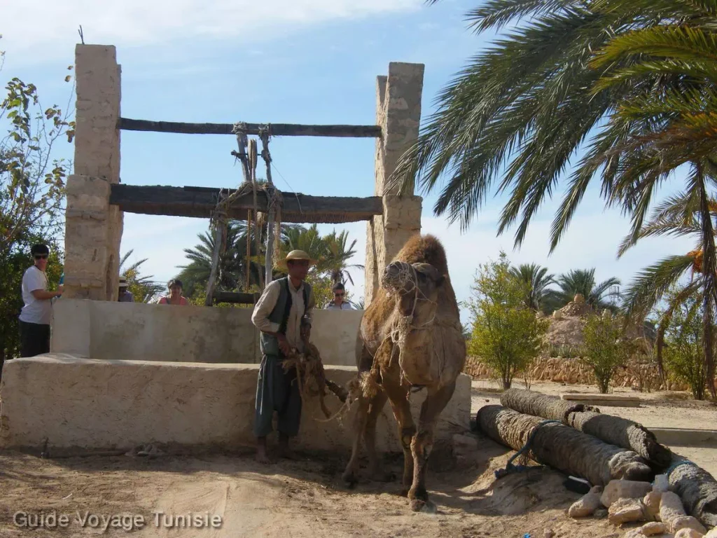 Le menzel Djerbien au village de Mahboubine