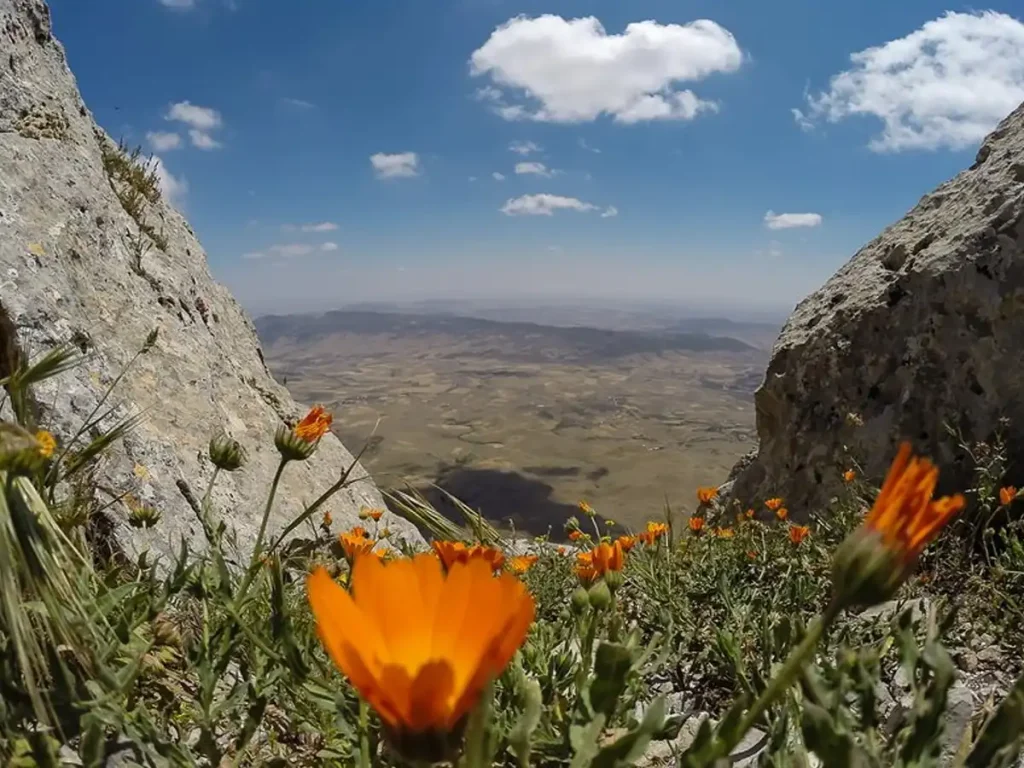 Le parc national de Jebel Zaghouan