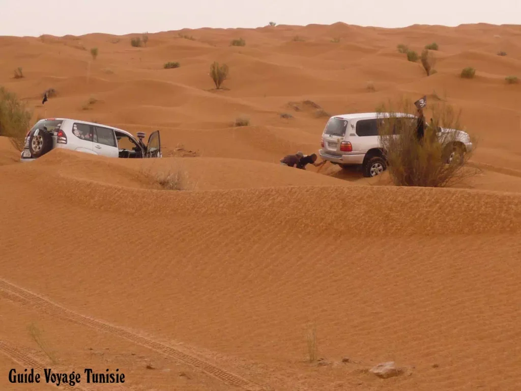 Tembaïne: La magie du Sahara