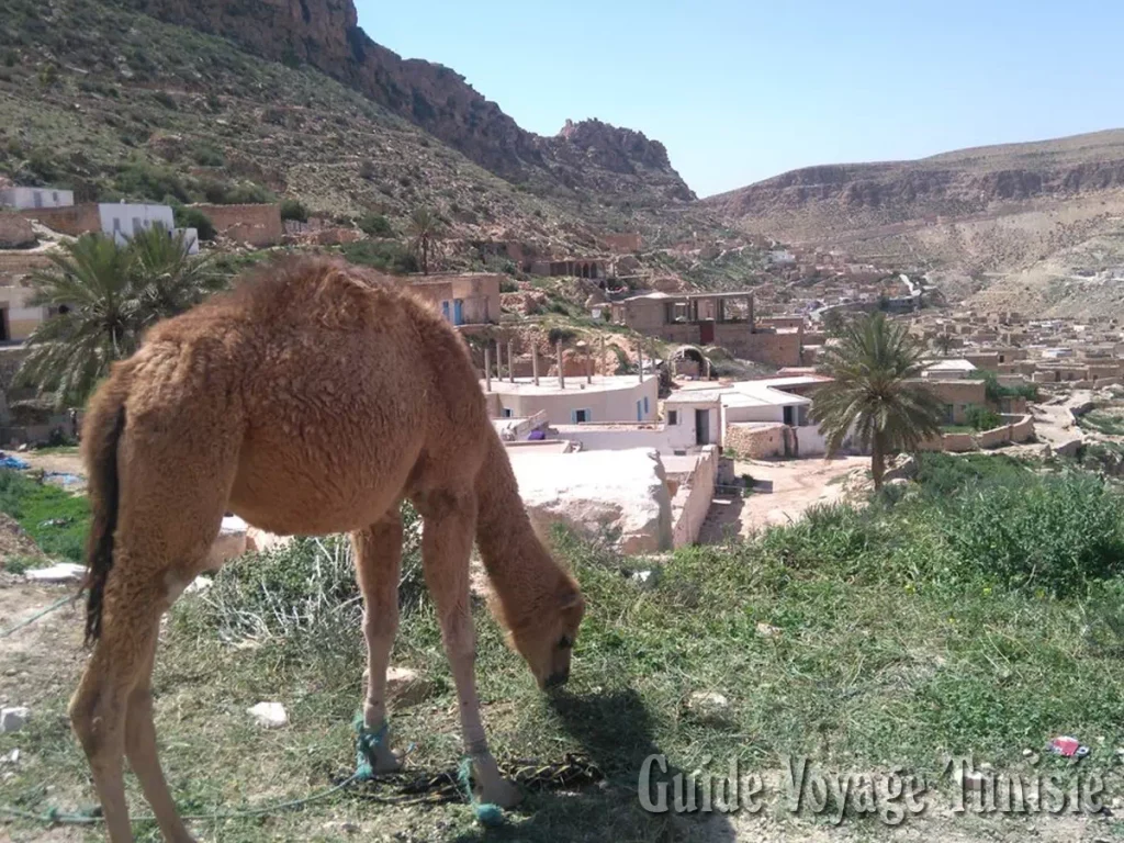 Le village berbère de Toujane