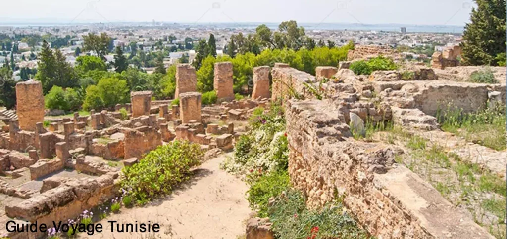 Le site archéologique de Carthage