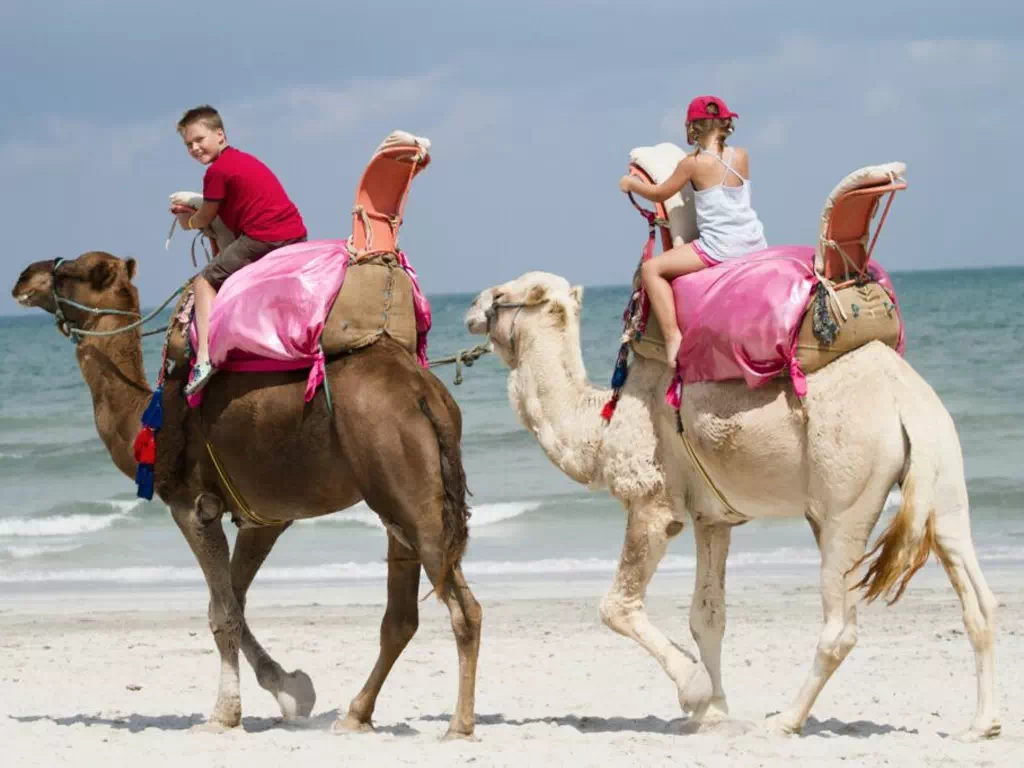 Camel Ride in Djerba