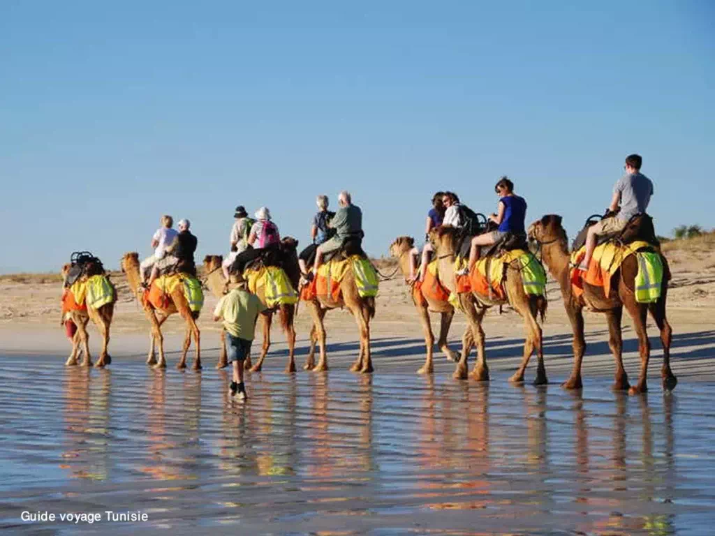 Camel Ride in Djerba