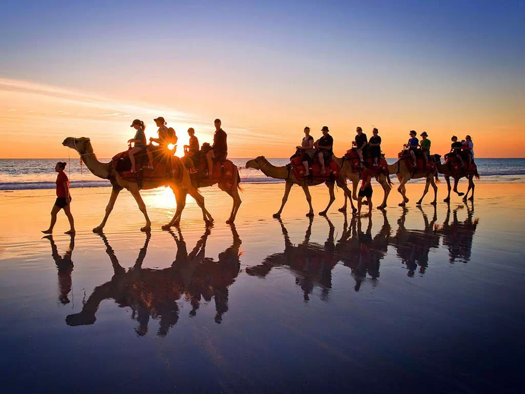 Camel Ride in Djerba