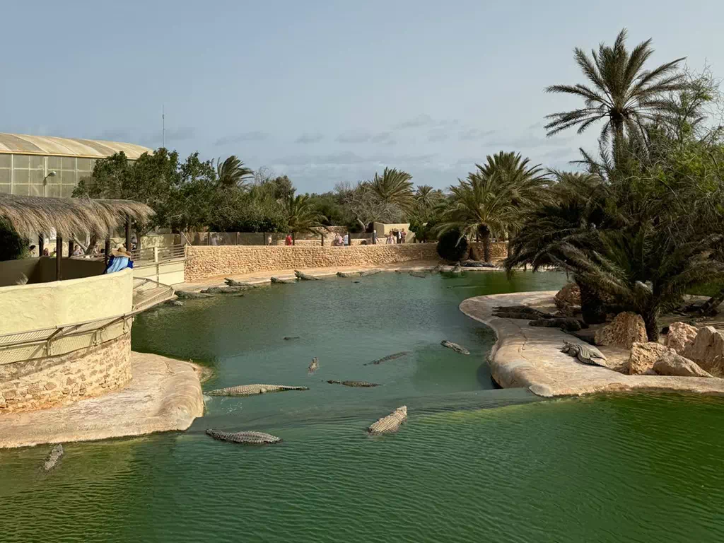 The crocodile Farm : Djerba Explore