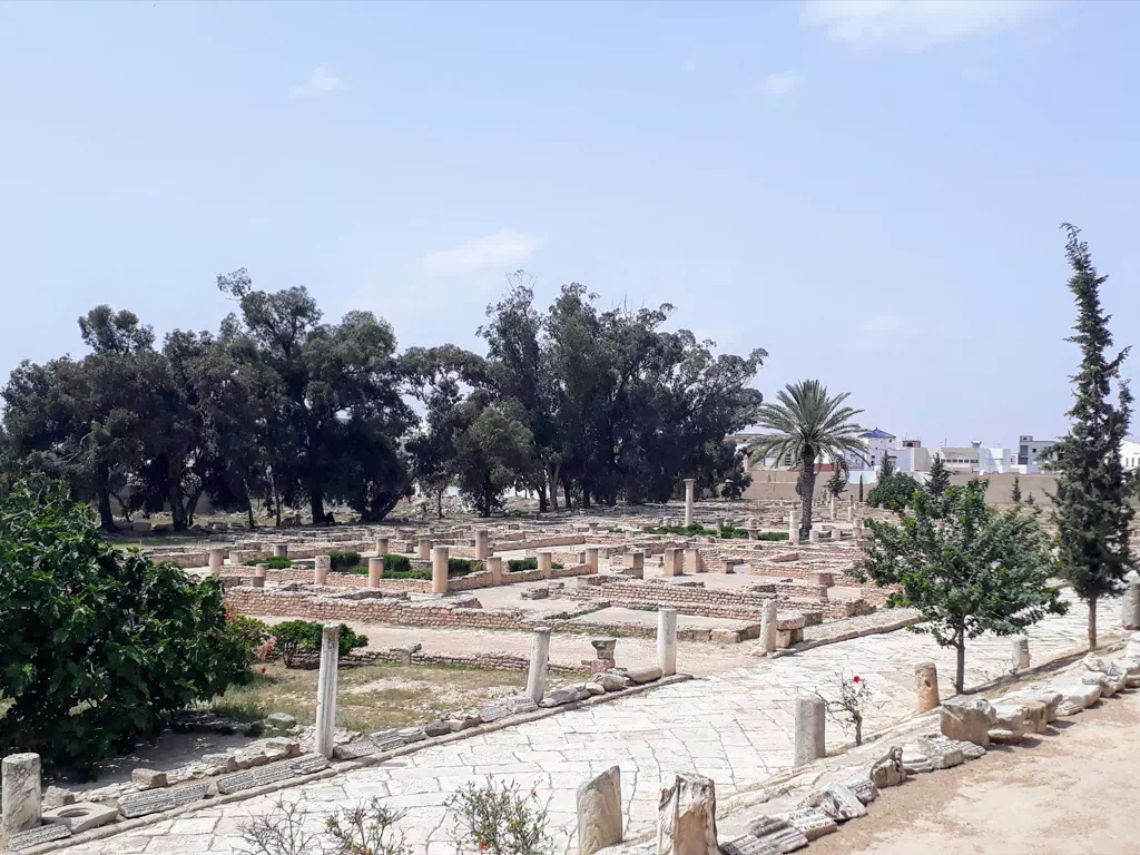 The Archaeological Museum of El Jem