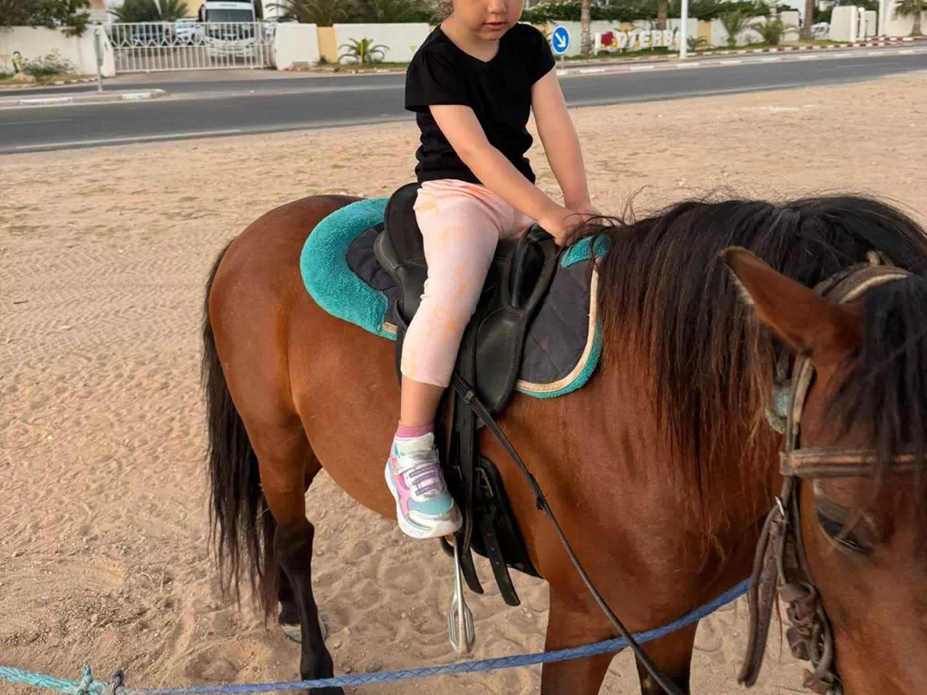 Horseback riding in Djerba