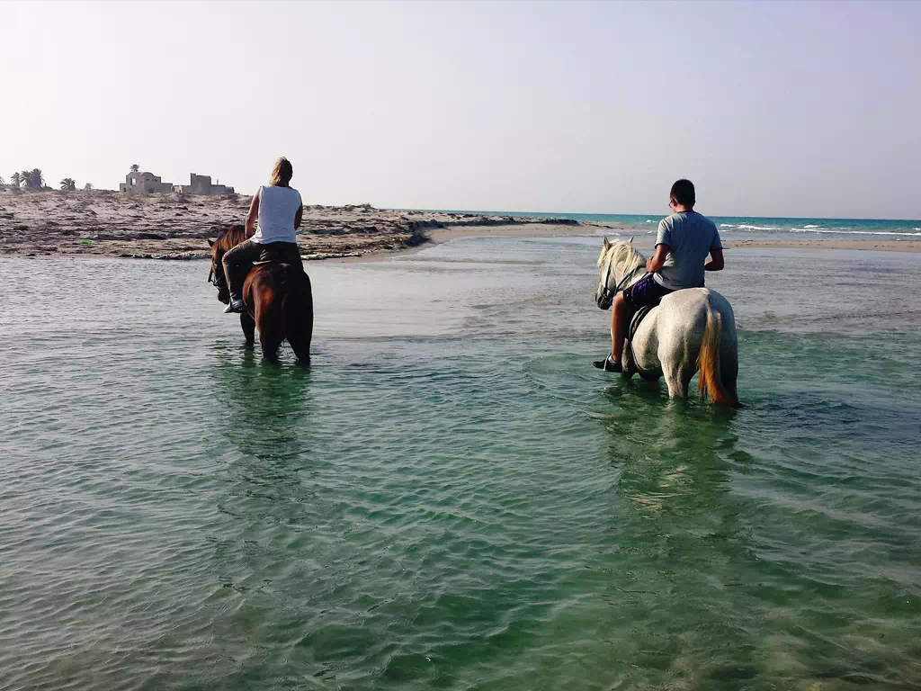 Horseback riding in Djerba