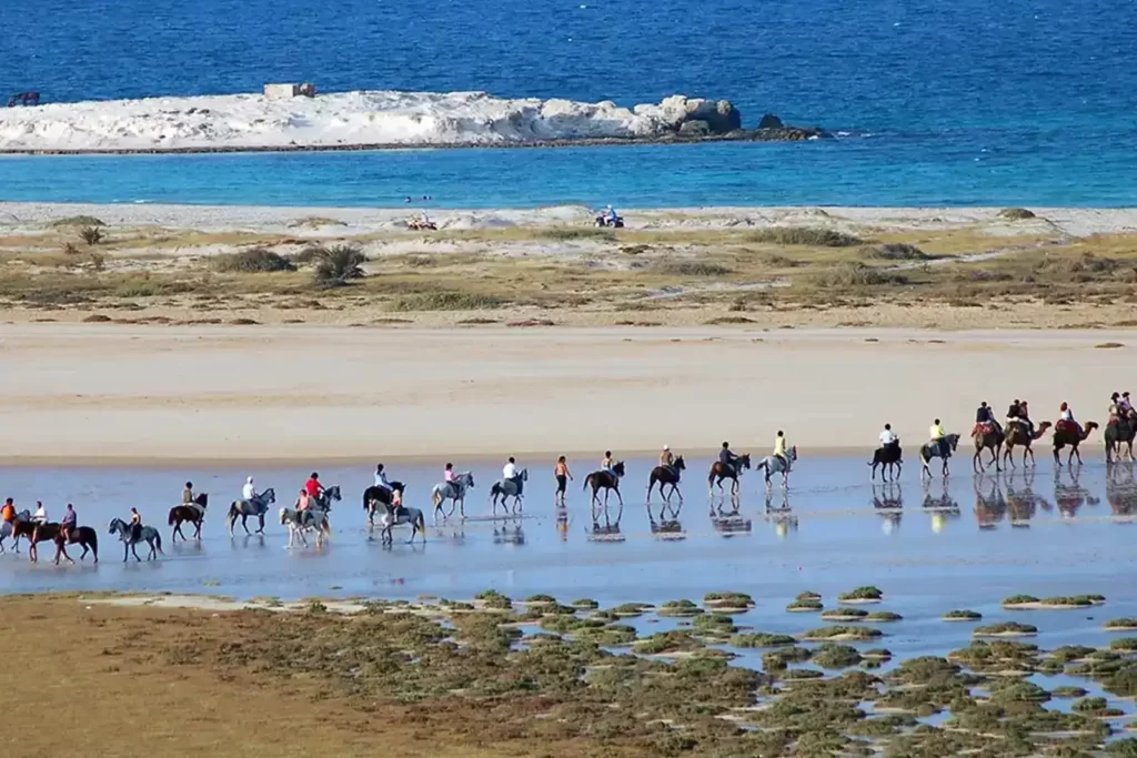 La caravane à Djerba : Partez à cheval et rentrez à dos de dromadaire