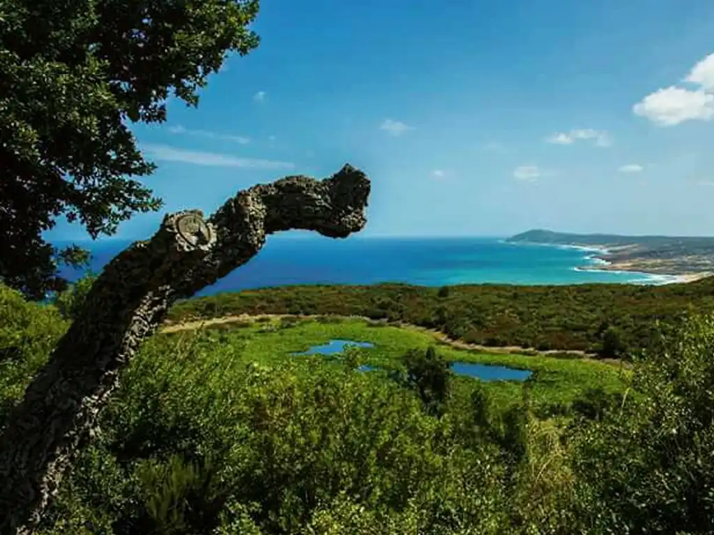 Jbel Chitana Cap Negro National Parc