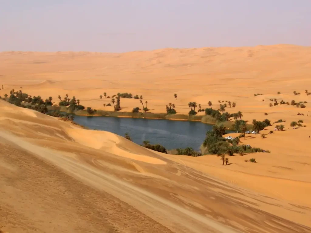 Ksar Ghilane oasis