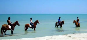 Balade à cheval à Djerba