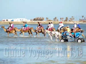 La caravane à Djerba : Partez à cheval et rentrez à dos de dromadaire