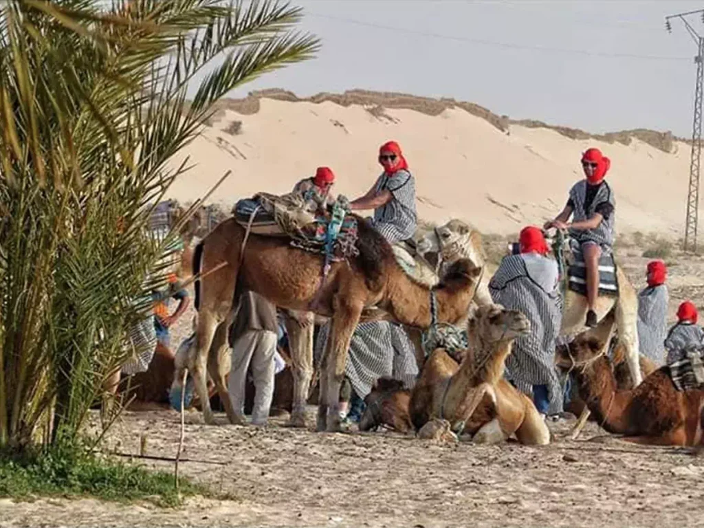 Randonnée chamelière au désert tunisien
