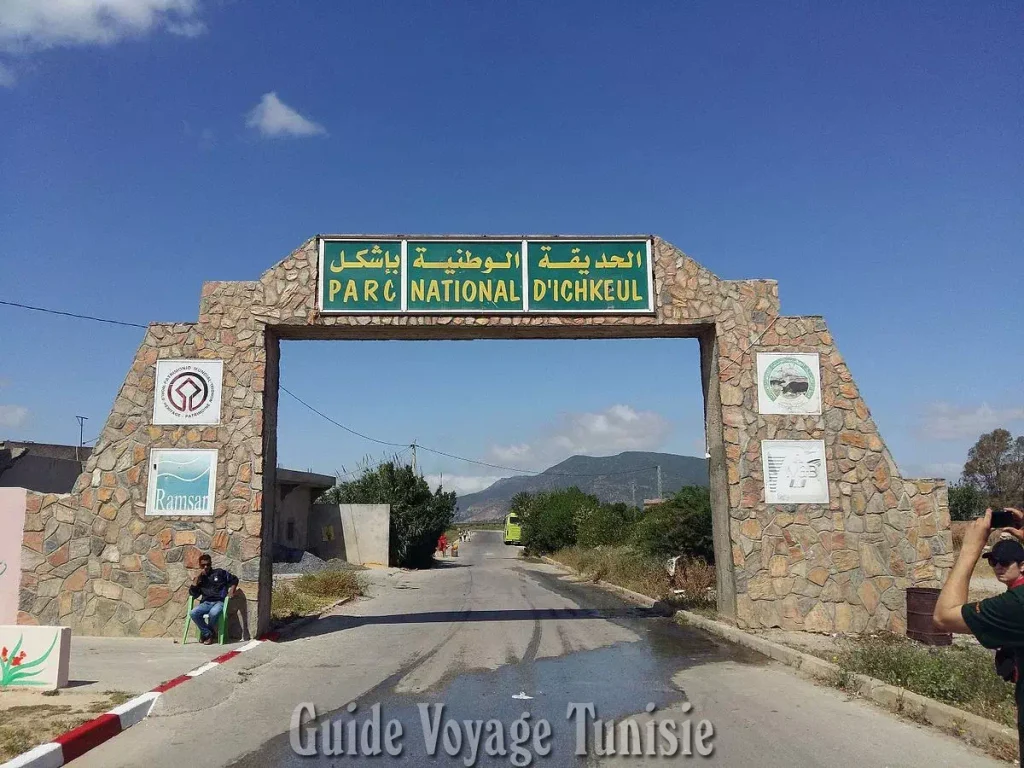 Guide Voyage Bizerte : Le parc national Ichkeul