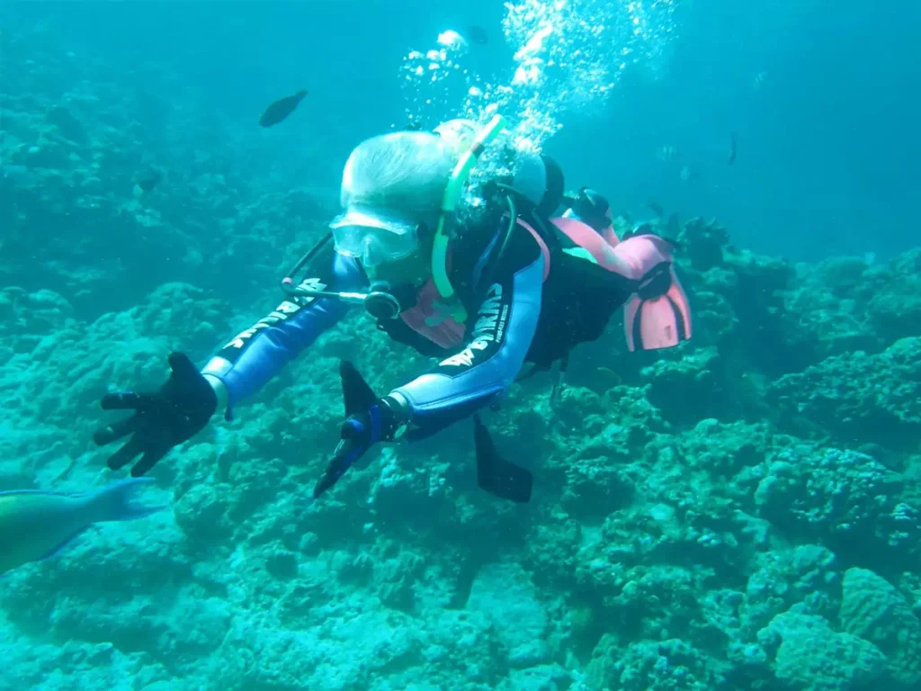 Scuba Diving in Djerba : Plongée sous marine à Djerba