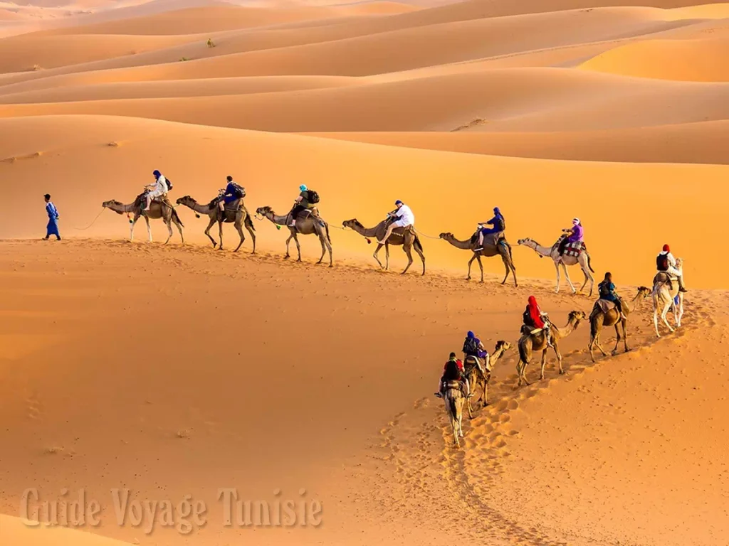 Randonnée chamelière au désert tunisien