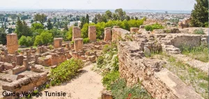 Le site archéologique de Carthage