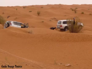 Tembaine Der Zauber der Sahara